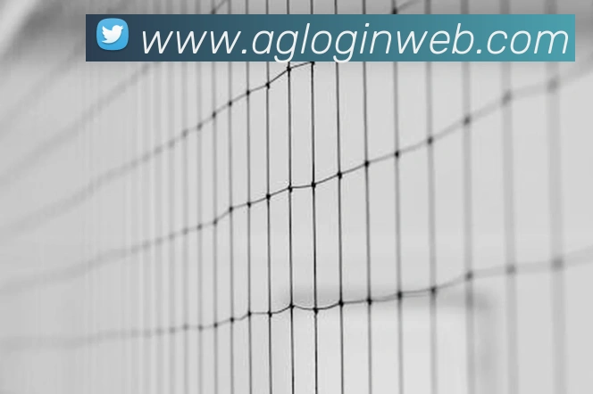 AG真人官网平台生态图